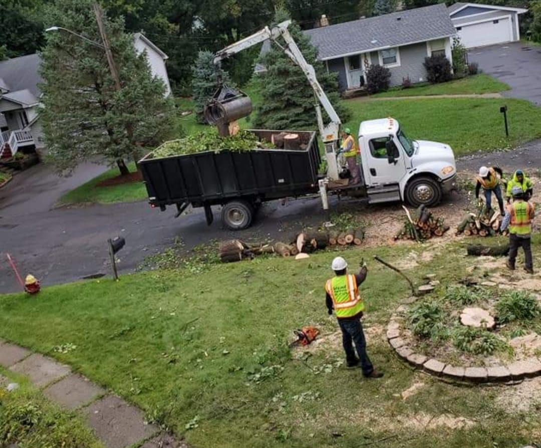 Gold Leaf crew removing a tree in a St. Paul neighborhood with a grapple truck and ground team